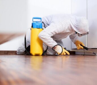 DeAnza Termite & Pest Control